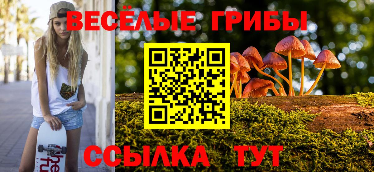 Галлюциногенные грибы GOLDEN TEACHER  Вход с VPN  Псилоцибиновые грибы MAGIC MUSHROOMS  Усинск 